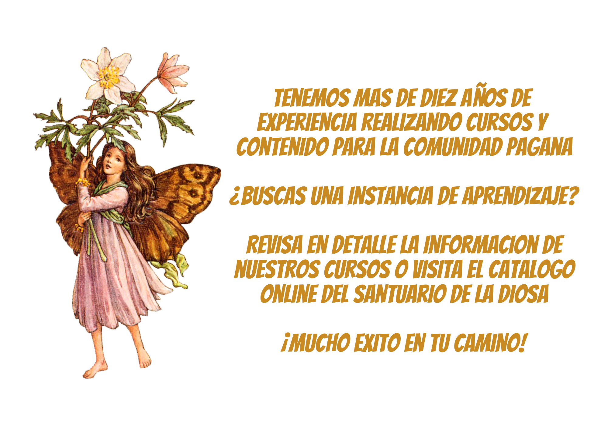 Santuario Web Plantillas (2)