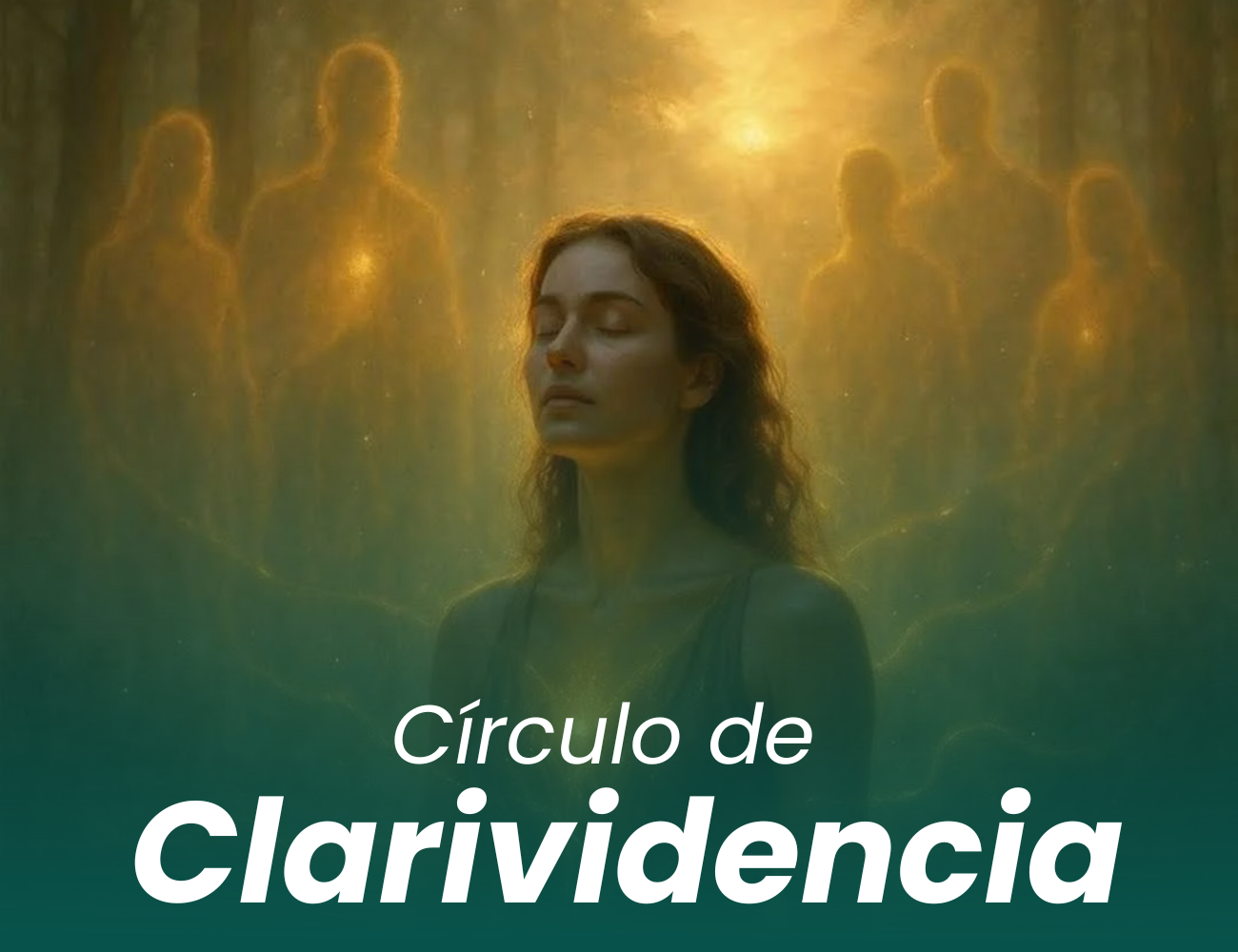 Web Site - Video (35)