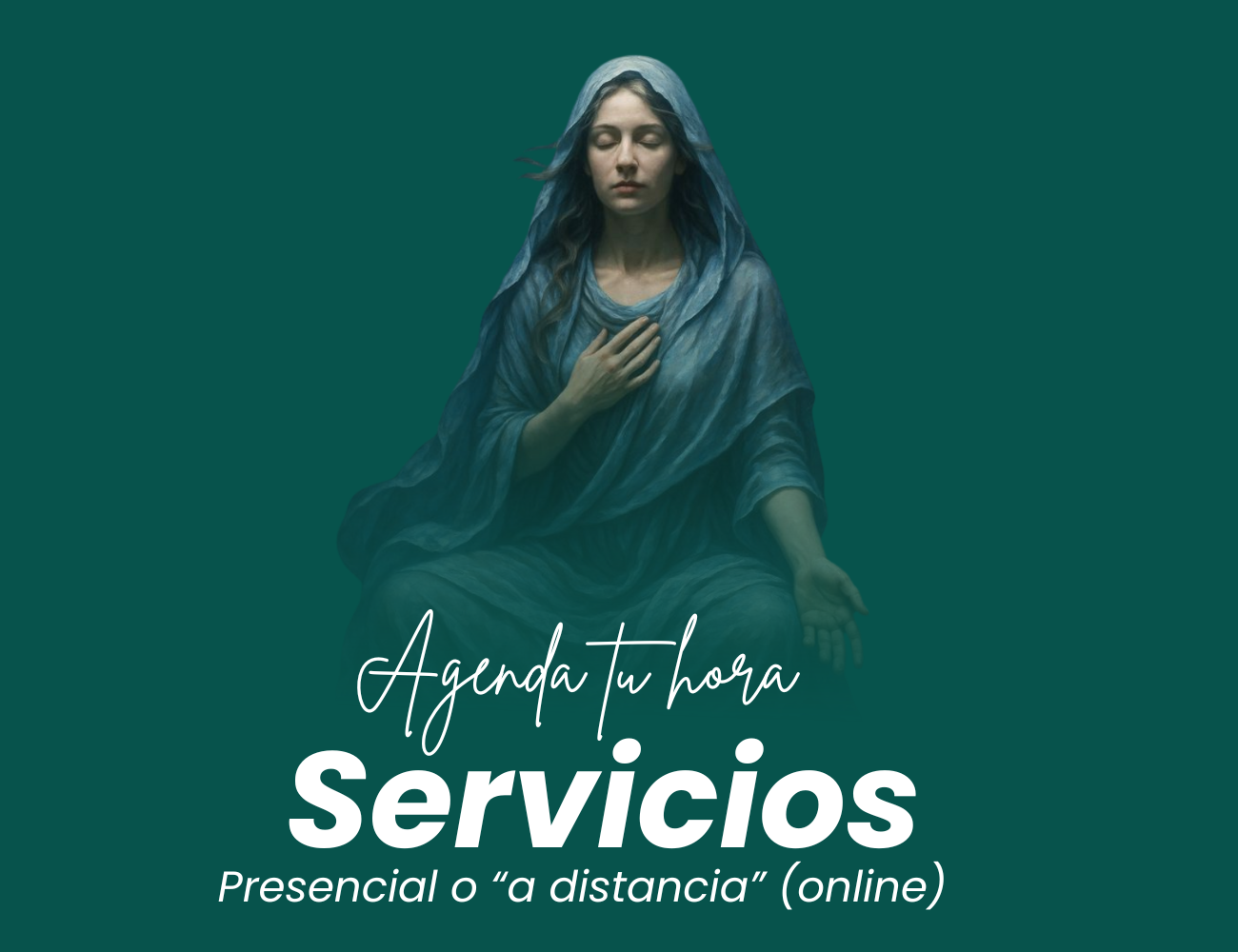 Web Site - Video (40)